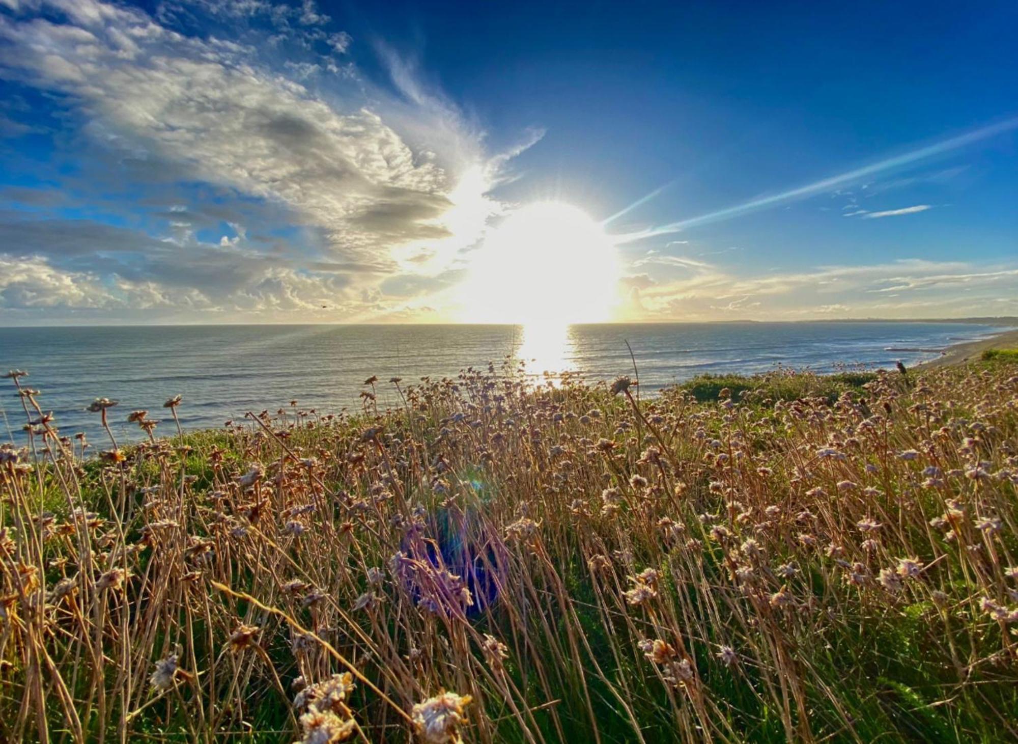Seaside Escape In Central Bournemouth Spacious Stylish & Inviting Urban Heights ภายนอก รูปภาพ